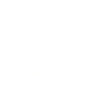 717 shield
